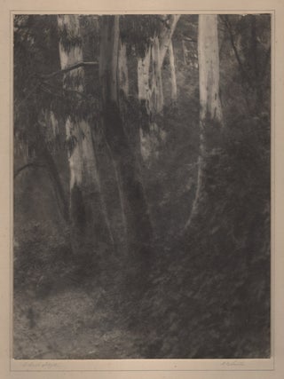 Item #1156 A Bush Idyll. DN Smith