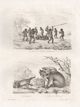 Item #1243 Dance of Australian natives, Duck-billed platypus and Wombat or desman. Charles Beyer...