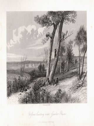 Item #1321 Opossum Hunting near Gawler Plains. After E. Gill
