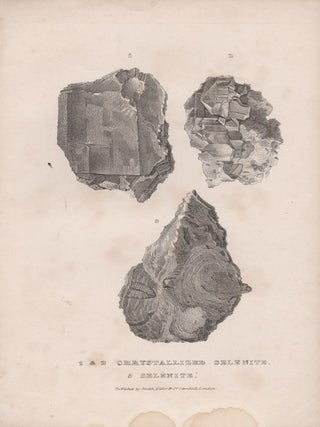 Item #1536 Selenites. After Major TL Mitchell