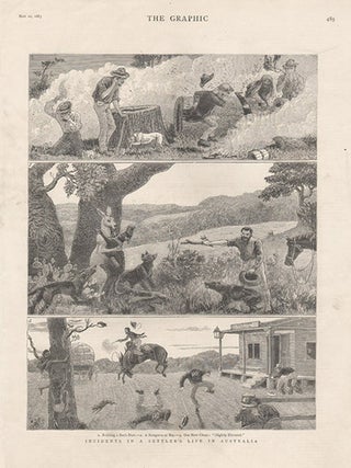 Item #1563 Incidents in Settler's Life in Australia. The Graphic