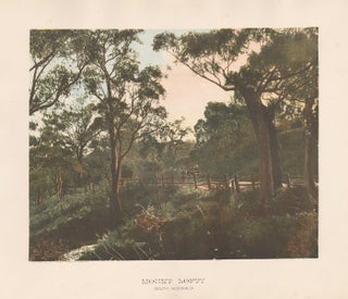 Item #1607 Mount Lofty, South Australia. Phillip-Stephan Photo-Litho., Typographic Process Co Ltd