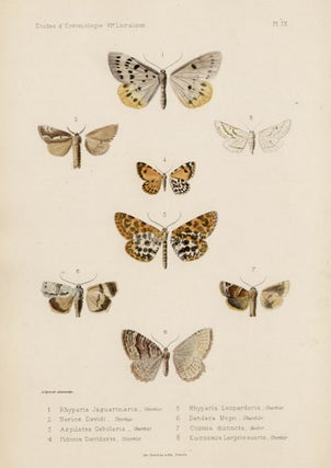 Item #1675 Oberthur butterfly and moths. Charles Oberthur