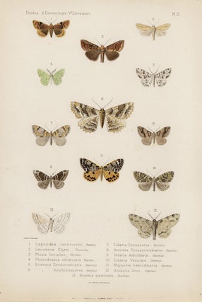 Item #1678 Oberthur butterfly and moths. Charles Oberthur