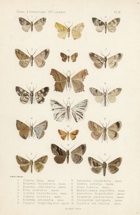 Item #1682 Oberthur butterfly and moths. Charles Oberthur