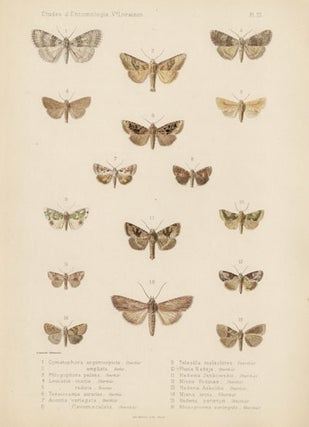 Item #1684 Oberthur butterfly and moths. Charles Oberthur