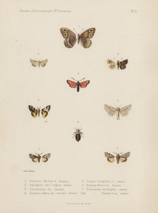 Item #1685 Oberthur butterfly and moths. Charles Oberthur