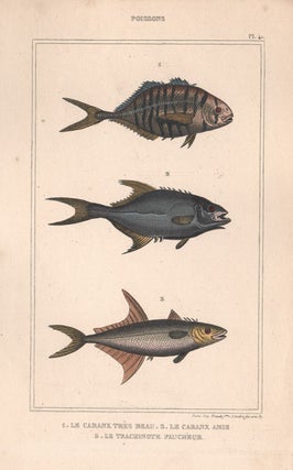 Item #1806 Poissons (Fish). Anon
