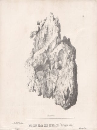 Item #2475 Breccia from the surface (Wellington Valley). A Picken after Major Thomas Livingstone...