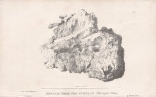 Item #2475 Breccia from the surface (Wellington Valley). A Picken after Major Thomas Livingstone...