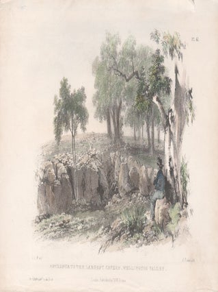 Item #2481 Entrance to the Largest Cavern, Wellington Valley. A Picken after Major Thomas...