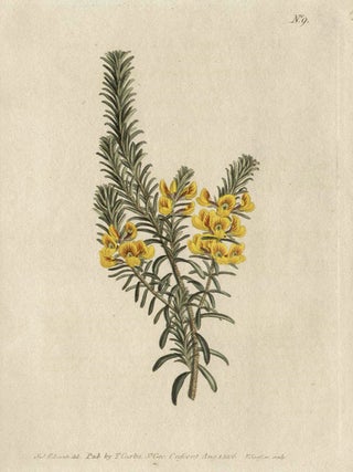 Item #2634 Aotus Villosa - Villous Aotus. Francis Sansom after Sydenham Edwards, fl1780s-1815