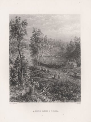 Item #2711 A Chinese Garden in Victoria. James Charles Armytage after a. photograph