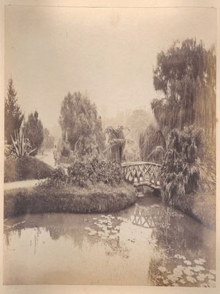 Item #2744 Botanical Gardens, Sydney. Anon
