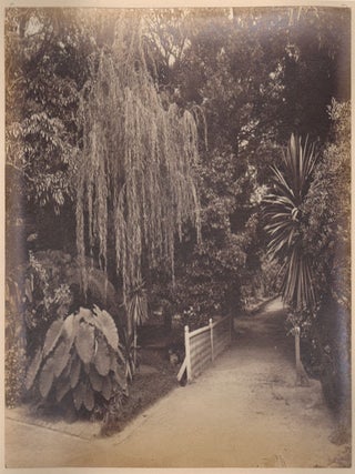 Item #2745 Botanical Gardens, Sydney. Anon