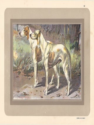 Item #2853 Chien de Billy. After P. Mahler