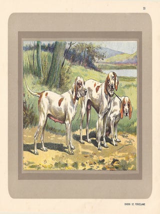 Item #2855 Chiens de Porcelaine. After P. Mahler