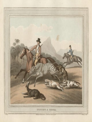 Item #306 Hunting a Zebra. Mathew Dubourg, after Samuel Howitt