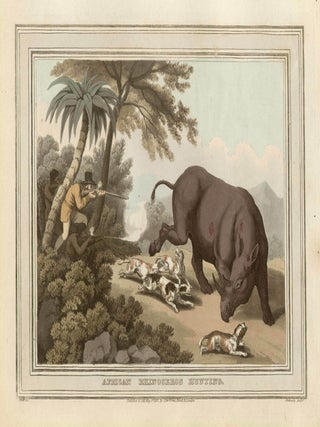 Item #309 African Rhinoceros Hunting. Mathew Dubourg, after Samuel Howitt