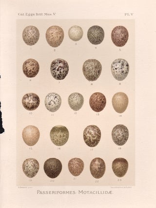 Item #3158 Eggs - Passeriformes. After Henrik Gronvold