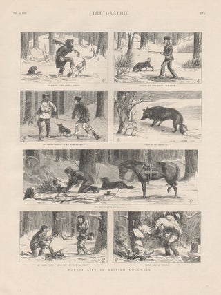 Item #3172 Forest Life in British Columbia, Canada. The Graphic