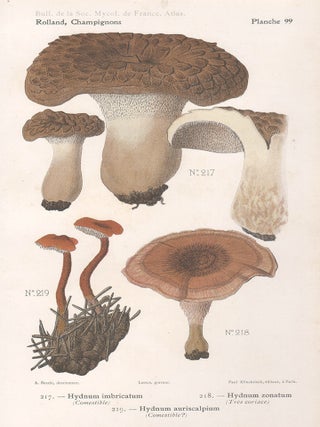Item #3610 Champignon - Mushroom. Lassus after Aimé Bessin