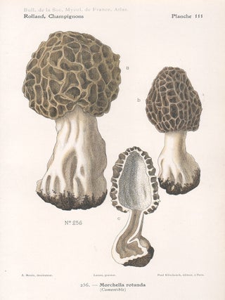 Item #3614 Champignon - Mushroom. Lassus after Aimé Bessin