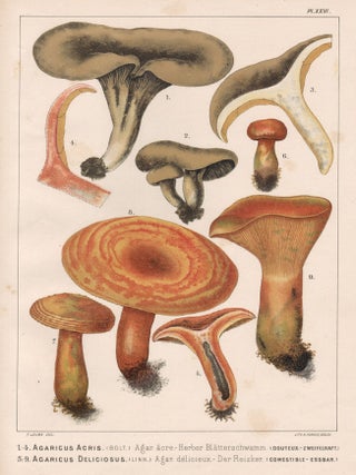 Item #3841 1-4 Agaricus Acris 5-9 Agaricus Deliciosus. H Furrer after Fritz Leuba