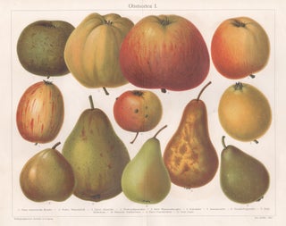 Item #3851 Obstsorten I (Apples and Pears