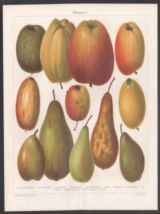 Obstsorten I (Apples and Pears)