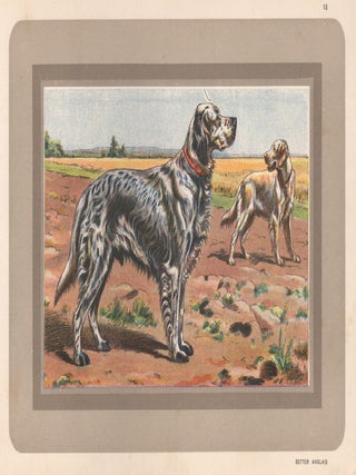 Item #3962 English Setter. After P. Mahler