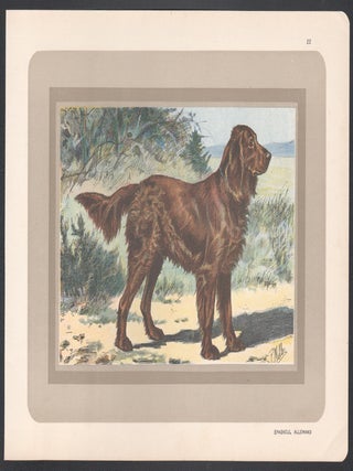 German Spaniel