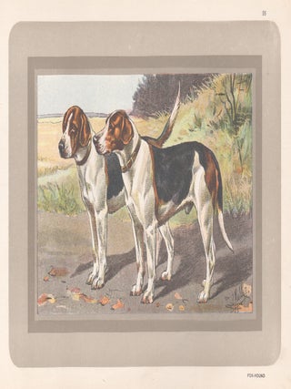 Item #3978 Fox Hound. After P. Mahler