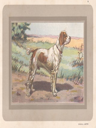 Item #3982 Brittany Spaniel. After P. Mahler
