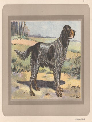 Item #3991 Picardy Spaniel. After F. Castellan