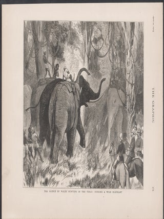 The Prince of Wales Hunting in the Terai : Binding a Wild Elephant (India)