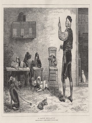 Item #4073 A Canine Aesculapius. After John Charles Dollman
