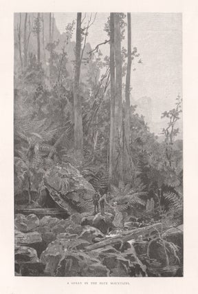 Item #4095 A Gully in the Blue Mountains. After Frederic B. Schell