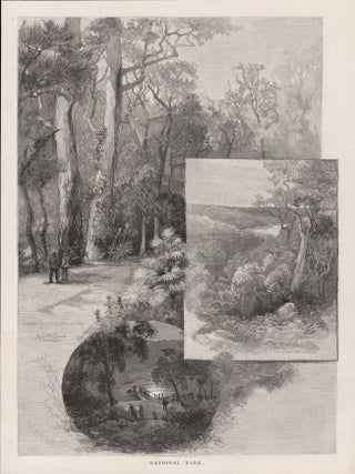 Item #4217 National Park - Lady Carrington Road, Sea Reach Port Hacking, Freshwater Beach. After...