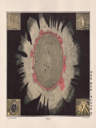 Item #4256 The Sun. After Sir William Peck