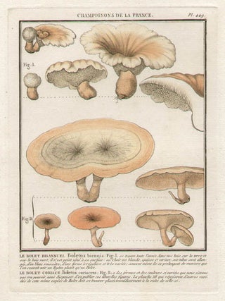 Item #436 Champignon de la France. Jean Baptiste Francois Buillard