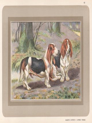 Item #4417 Bassets D'Artois A Jambes Torses. After P. Mahler