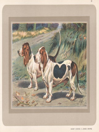 Item #4418 Bassets D'Artois A Jambes Droites. After P. Mahler