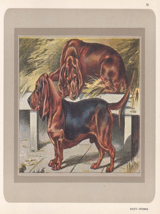 Item #4419 Bassets Ardennais. After P. Mahler
