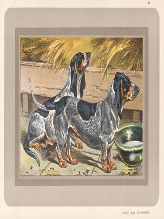 Item #4420 Basset Bleu de Gascogne. After P. Mahler