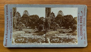 Item #4424 1481 View in the Botanical Gardens, Sydney, NSW. George Rose