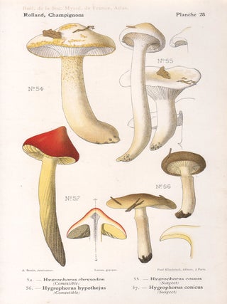 Item #4433 Champignon - Mushroom. Lassus after Aimé Bessin
