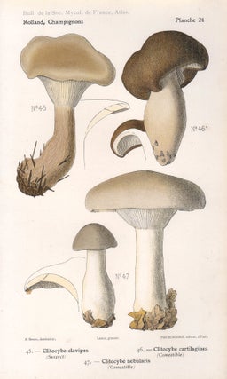Item #4435 Champignon - Mushroom. Lassus after Aimé Bessin