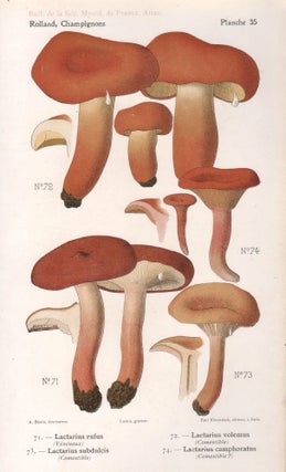 Item #4440 Champignon - Mushroom. Lassus after Aimé Bessin