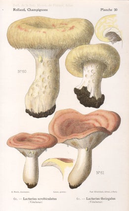 Item #4441 Champignon - Mushroom. Lassus after Aimé Bessin